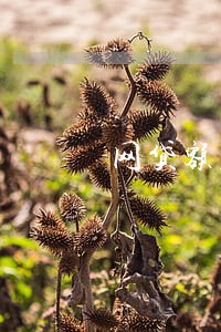 网贷额度突然没了面临逾期 网贷额度突然没了面临逾期