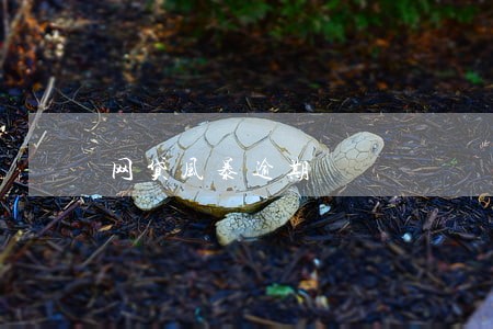 网贷风暴逾期