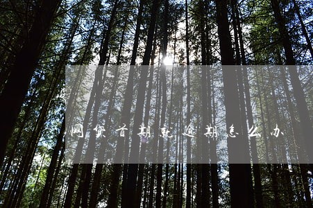网贷首期就逾期怎么办 网贷首期就逾期怎么办