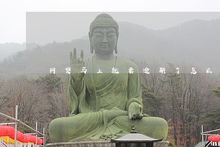 网贷马上就要逾期了怎么办 网贷马上就要逾期了怎么办