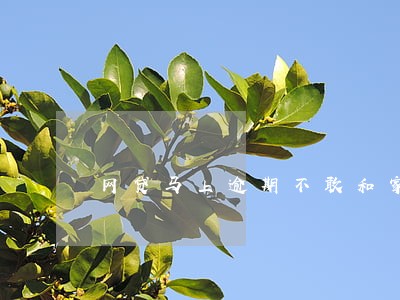 网贷马上逾期不敢和家里说