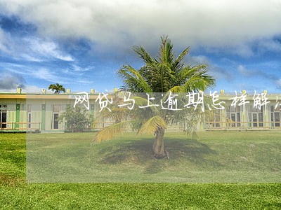 网贷马上逾期怎样解决 网贷马上逾期怎样解决