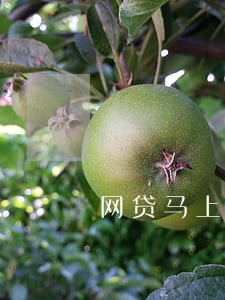 网贷马上逾期需要换新工作吗 网贷马上逾期需要换新工作吗