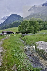 网贷高利息法律援助