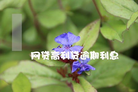 网贷高利贷逾期利息
