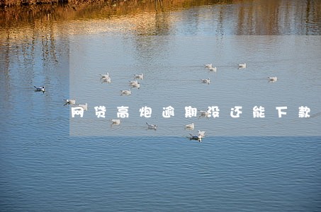 网贷高炮逾期没还能下款吗 网贷高炮逾期没还能下款吗