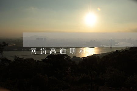 网贷高逾期利息 网贷高逾期利息
