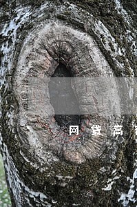 网贷高额逾期费怎么协商 网贷高额逾期费怎么协商