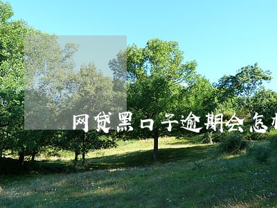 网贷黑口子逾期会怎样 网贷黑口子逾期会怎样