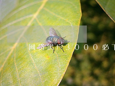 网贷黑户3000必下当前逾期