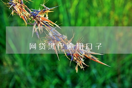 网贷黑户逾期口子 网贷黑户逾期口子