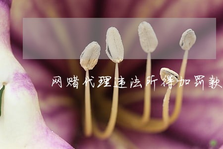 网赌代理违法所得加罚款