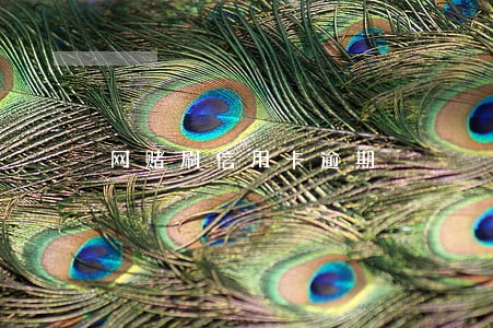网赌刷信用卡逾期 网赌刷信用卡逾期
