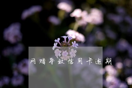 网赌导致信用卡逾期 网赌导致信用卡逾期