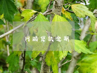 网赌贷款逾期 网赌贷款逾期