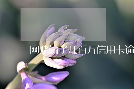 网赌输了几百万信用卡逾期