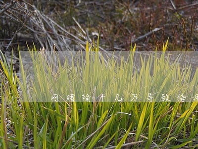 网赌输十几万导致信用卡逾期