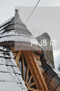 网逃的法院怎么处理 网逃的法院怎么处理