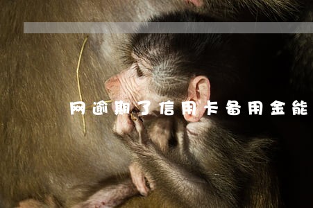 网逾期了信用卡备用金能用吗 网逾期了信用卡备用金能用吗