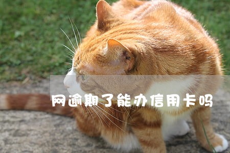 网逾期了能办信用卡吗 网逾期了能办信用卡吗