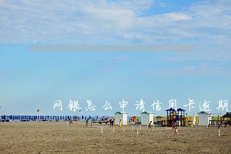 网银怎么申请信用卡逾期 网银怎么申请信用卡逾期