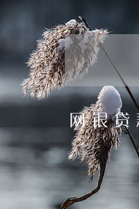 网银贷款逾期记录怎么消除 网银贷款逾期记录怎么消除