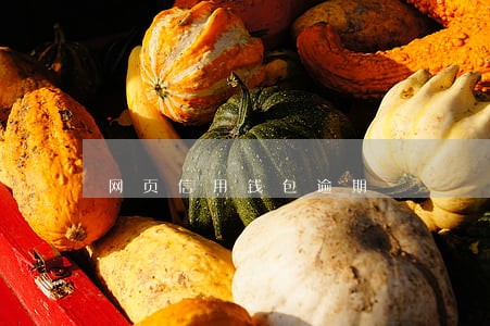 网页信用钱包逾期 网页信用钱包逾期