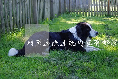 网页违法违规内容有哪些