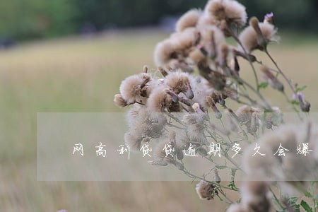 网高利贷贷逾期多久会爆通讯录 网高利贷贷逾期多久会爆通讯录
