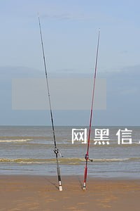 网黑信用卡逾期分期车 网黑信用卡逾期分期车