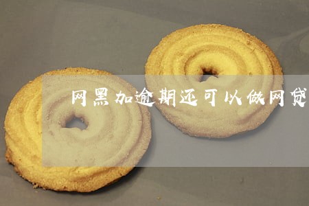 网黑加逾期还可以做网贷吗 网黑加逾期还可以做网贷吗