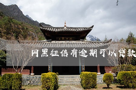 网黑征信有逾期可以贷款吗 网黑征信有逾期可以贷款吗