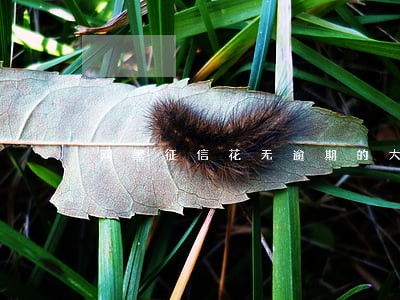 网黑征信花无逾期的大额网贷 网黑征信花无逾期的大额网贷