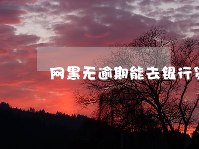 网黑无逾期能去银行贷款吗 网黑无逾期能去银行贷款吗