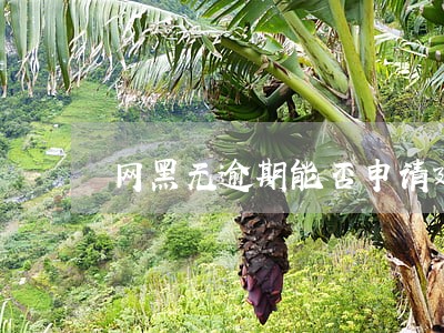 网黑无逾期能否申请建行快贷 网黑无逾期能否申请建行快贷