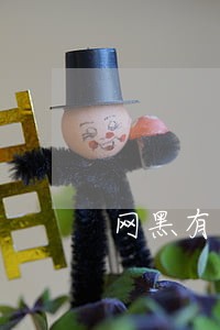网黑有逾期不看芝麻信用的有吗