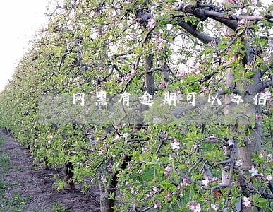 网黑有逾期可以办信用卡吗 网黑有逾期可以办信用卡吗