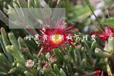 网黑有逾期必下网贷 网黑有逾期必下网贷