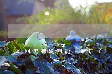 网黑有逾期能下的口子14天的 网黑有逾期能下的口子14天的