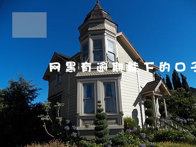 网黑有逾期能下的口子2021