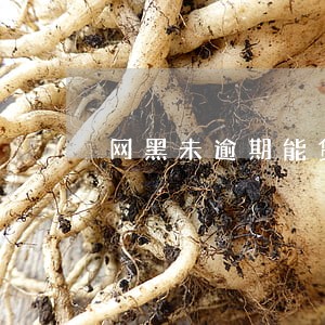 网黑未逾期能贷的软件 网黑未逾期能贷的软件