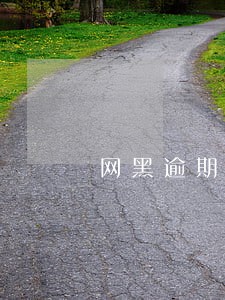 网黑逾期50多个能下款的囗子 网黑逾期50多个能下款的囗子