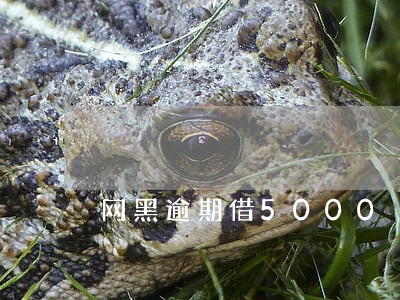 网黑逾期借5000 网黑逾期借5000