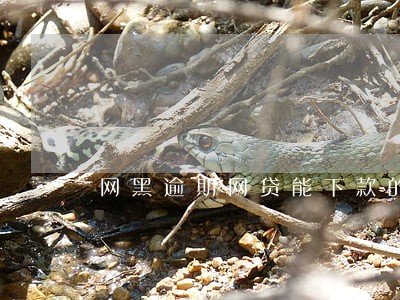 网黑逾期网贷能下款的口子