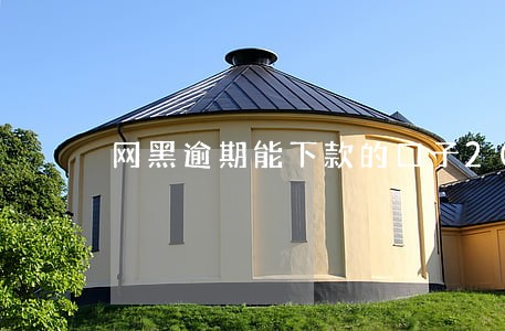 网黑逾期能下款的口子2020 网黑逾期能下款的口子2020