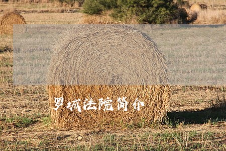 罗城法院简介 罗城法院简介