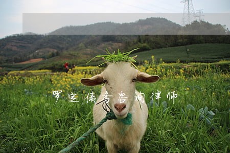 罗定债务咨询律师 罗定债务咨询律师