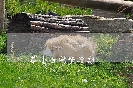 罗小白网贷逾期 罗小白网贷逾期