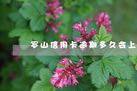 罗山信用卡逾期多久会上征信