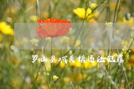 罗山县城关镇违法犯罪